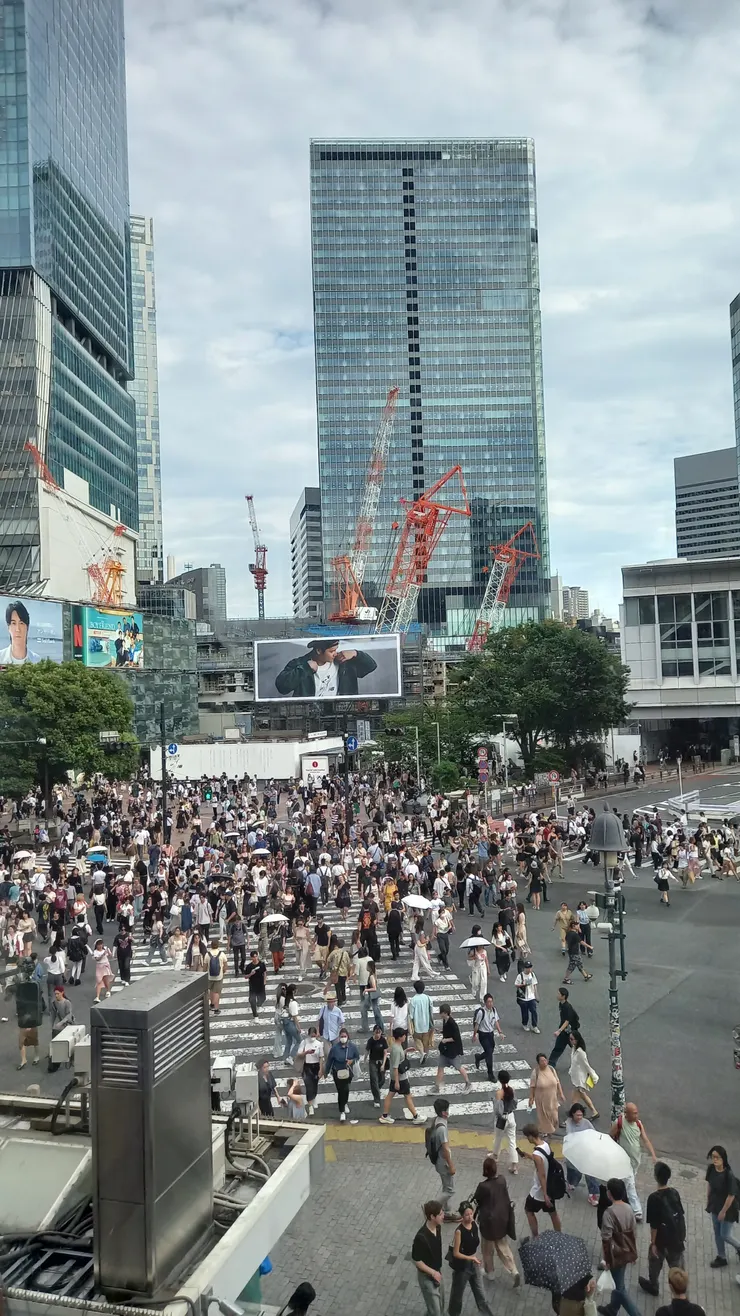 感覺要高樓層一點俯瞰行人過馬路會比較有趣,二樓太近了不夠壯觀哈哈