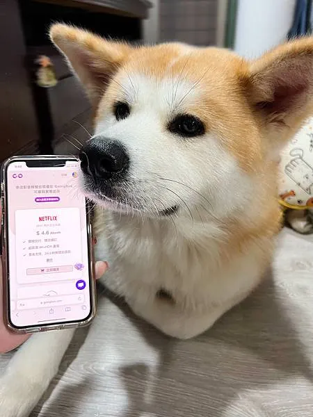 【平台】GoingBus 串流媒體共乘平台｜帳號共享合租，N