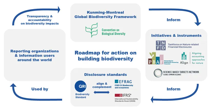 GRI 304 新版的合作影響範圍，資料來源：GRI