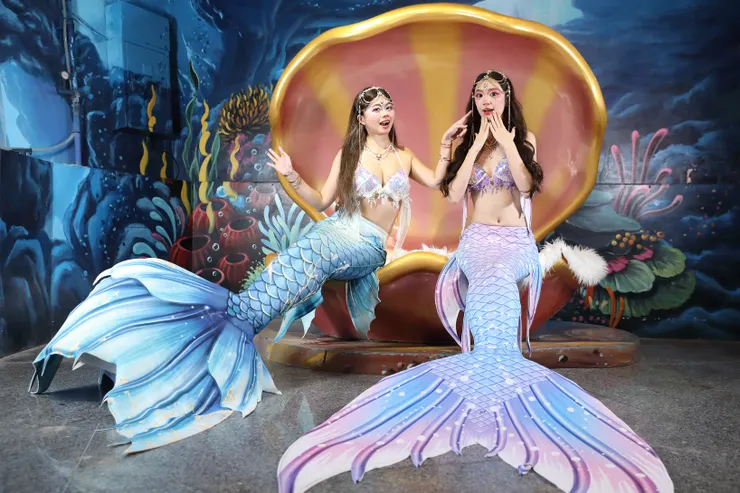 美人魚聖誕見面會