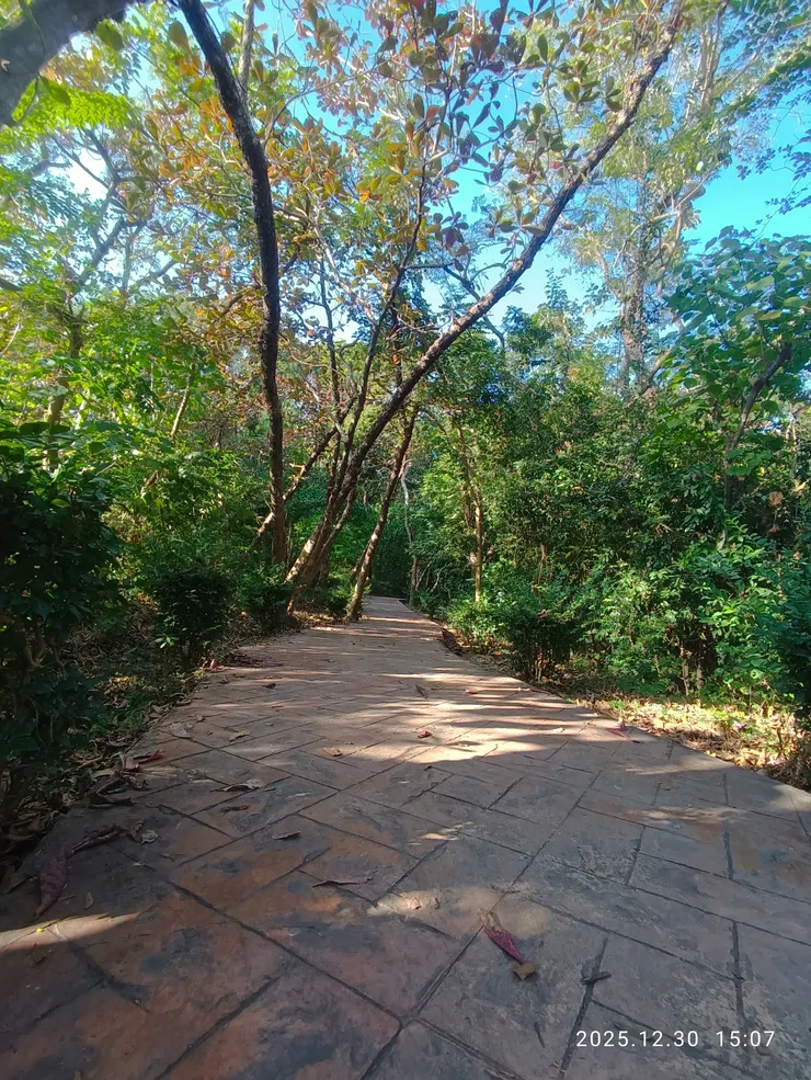 恍然驚散舊時路