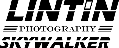 LINTINSKYWALKER 