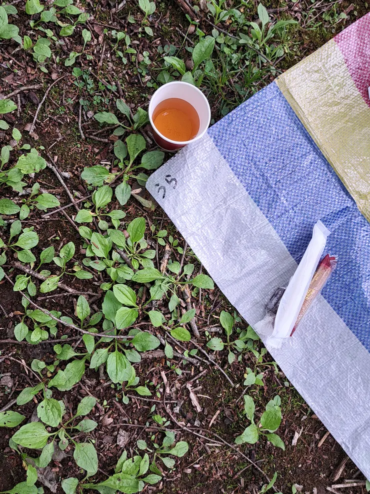 森林療癒指導員幫大家準備的安息用地墊與小茶點/攝影:NANA濕婦