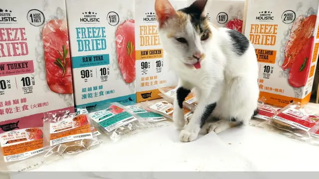 ABSOLUTE超越巔峰 貓用凍乾主食(凍乾試吃員焦糖)