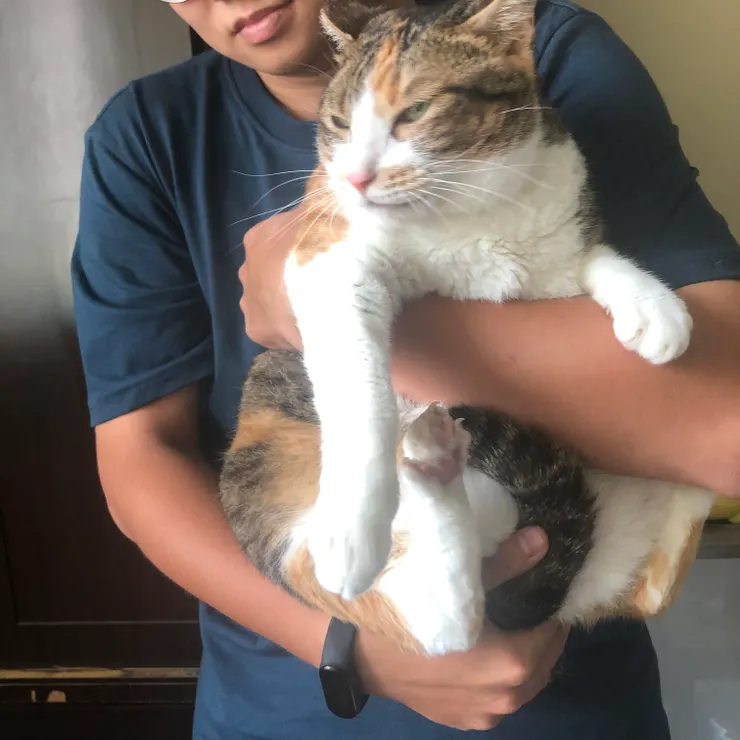 抓臭臭進外出包抓超久⋯然後他這張好好笑，醜的可愛