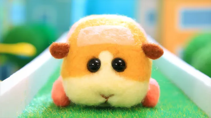 （圖 / 木棉花）