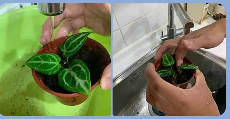 2022年的水晶花燭