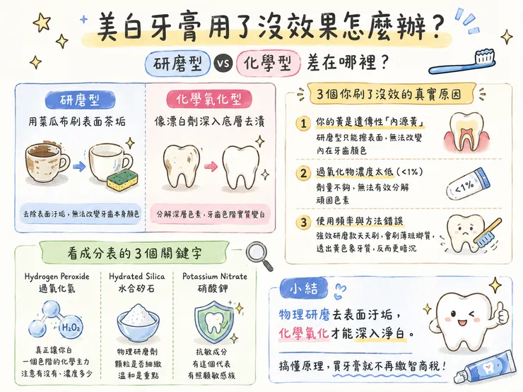 美白牙膏沒效果怎麼辦？研磨型 vs 化學氧化型牙膏差別一次看！過氧化氫、水合矽石、硝酸鉀成分解析，內源性黃牙、濃度不足、使用錯誤原因破解，2026 牙齒美白正確選擇