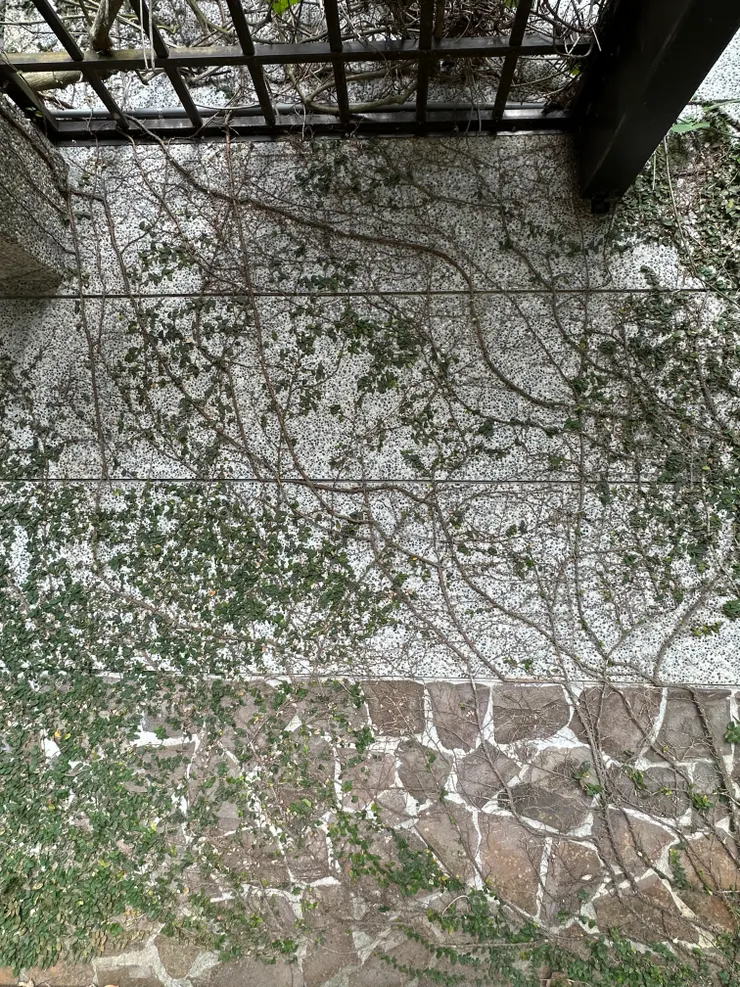好喜歡樹枝和樹葉裝飾在牆面上的樣子