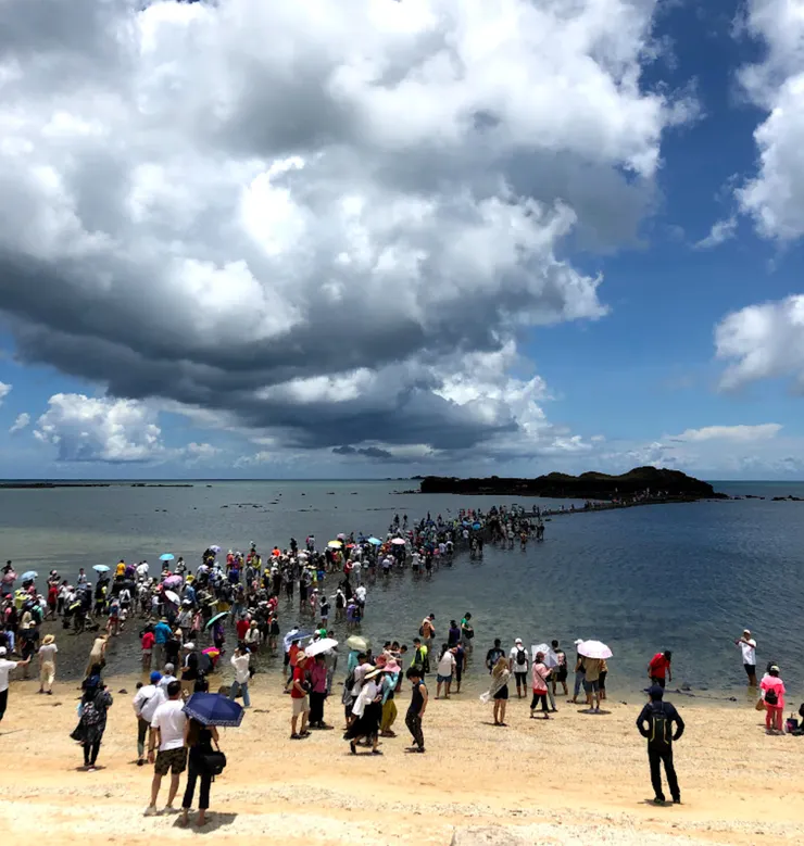 人山人海的奎壁山，還是滿值得一看的呦