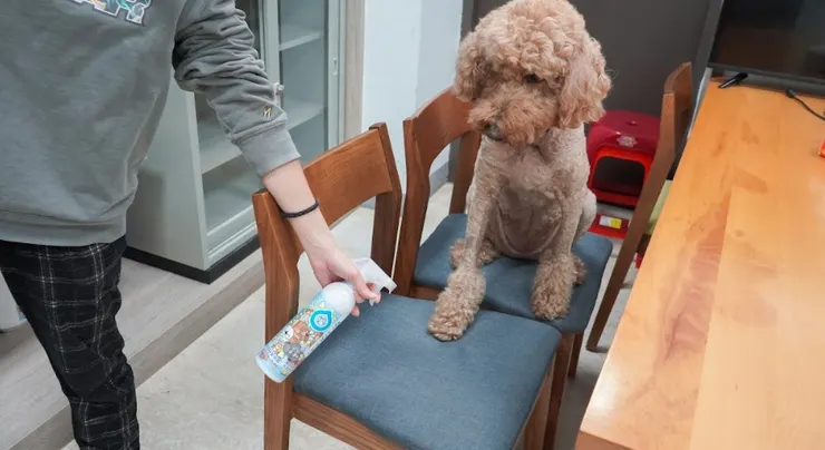 圖說:這裡噴!那裡噴!天然植萃除臭成分可分解異味與抑制細菌,無味弱酸性,還能避免傷害毛孩嗅覺。(資料來源:臭味滾)