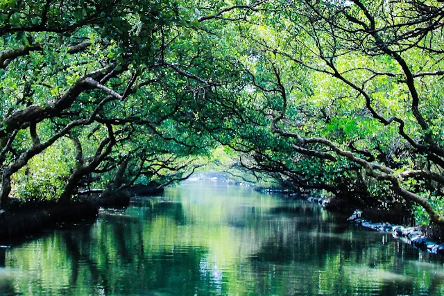 Photo Credit：PeiQi Teh