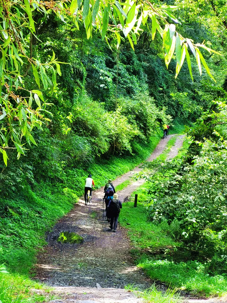 下坡路段要特別小心，用點煞方式，慢速下坡，並隨時注意步行的登山客。