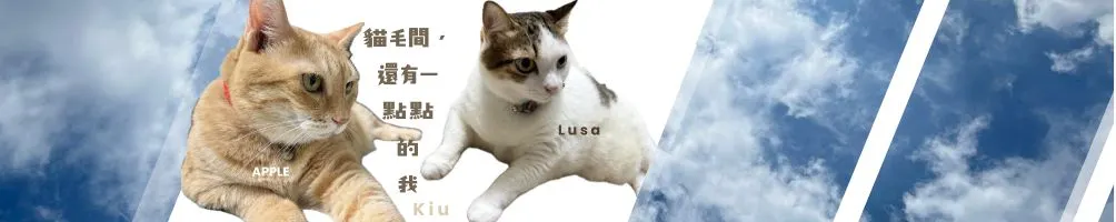 貓毛間，還有一點點的我