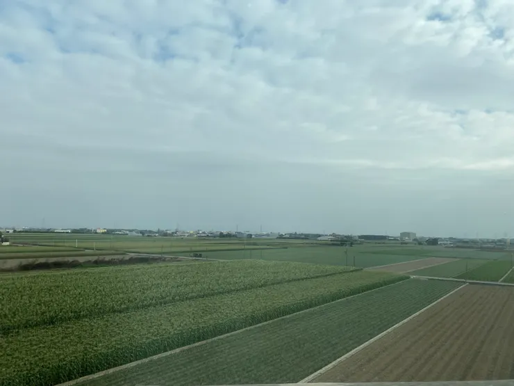 一大片的綠金，嘉南平原