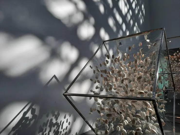 南美館二館一隅