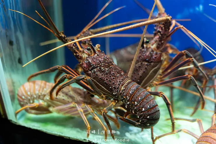 [高雄左營火鍋餐廳]銅花精緻涮涮鍋，火鍋界的LV！整隻龍蝦與A5和牛的奢華約會，專人桌邊服務，左營約會餐廳推薦，附最新菜單
