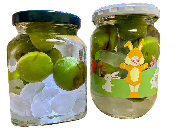 粉紅姐用昨天撿來的梅子,釀了兩小罐梅酒。