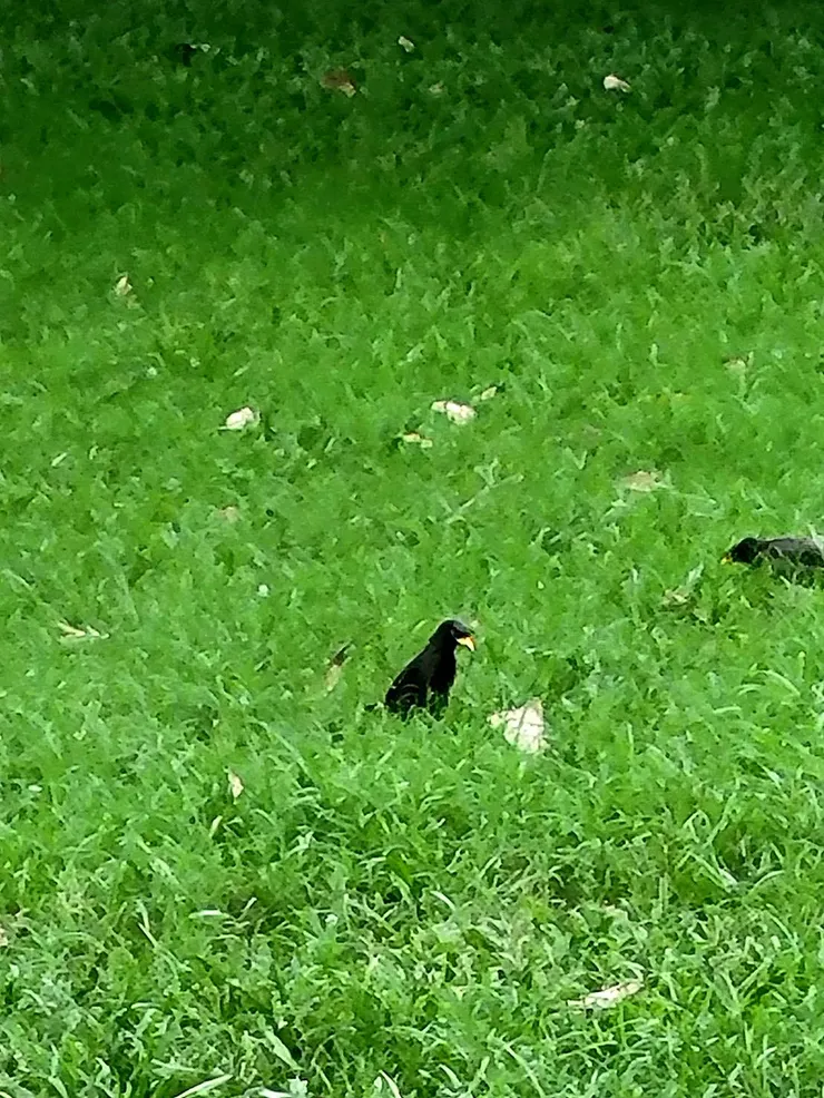 Day 20 我就看著你