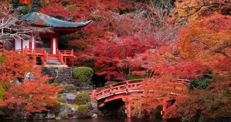 京都醍醐寺秋季紅葉美景
