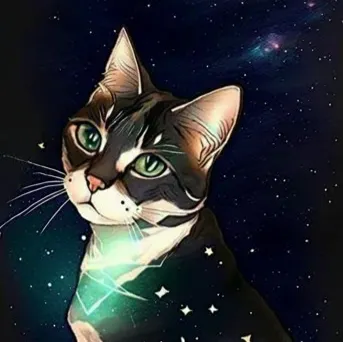 深夜的少女心的沙龍