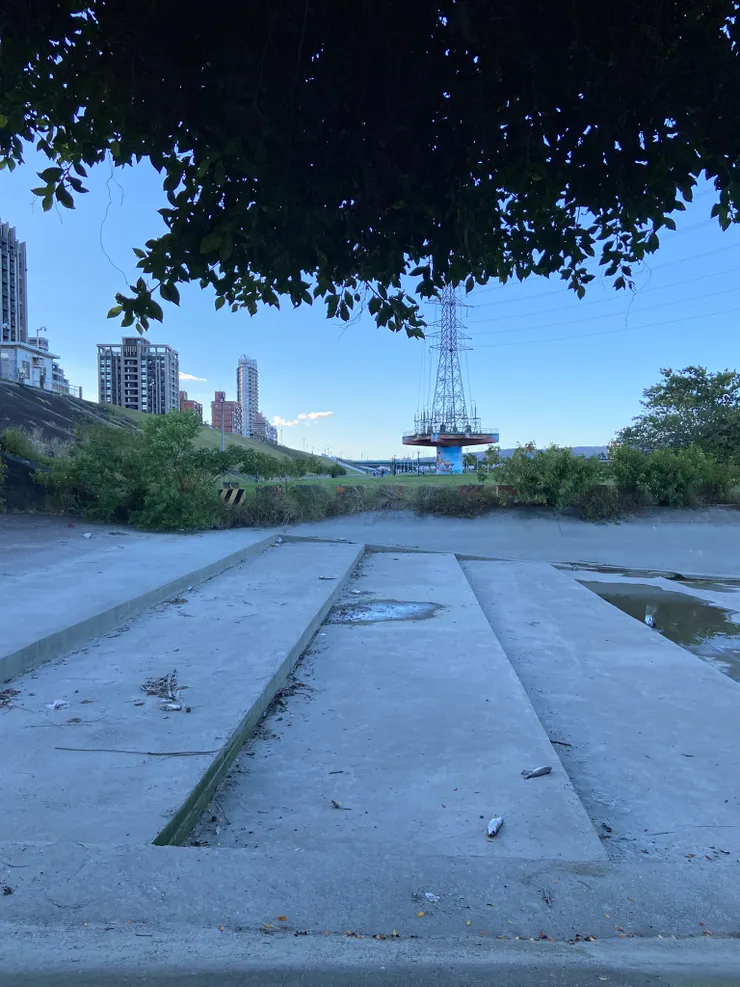 比平常更多的魚屍，也許只是自然現象，希望這只是警告，而不是預兆...