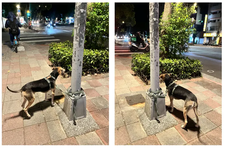 晚上的綁定在大馬路邊,狀況也比以前好