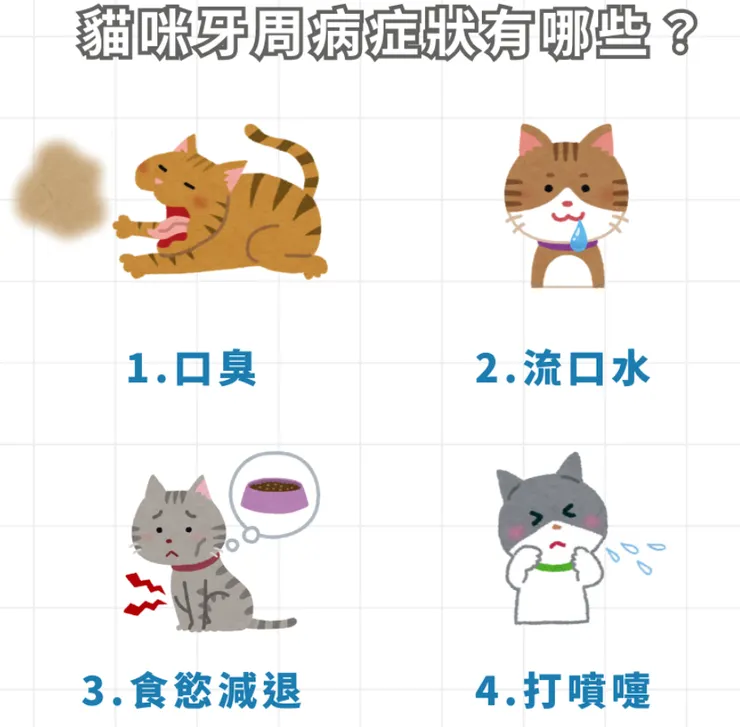 貓主子牙周病症狀。