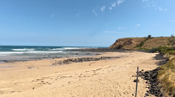 這是平台第一排看出去的景色，最右邊會是企鵝歸巢的路線，其實有點距離