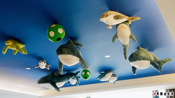 抬頭都是鯊鯊～好愛！