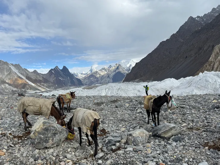 遠眺仍然能辨識出其窄而高聳的山形