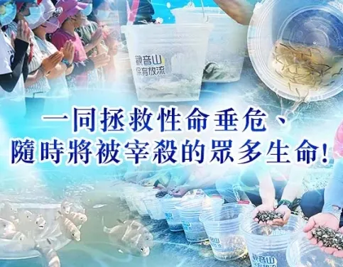 海洋保育實務情況 