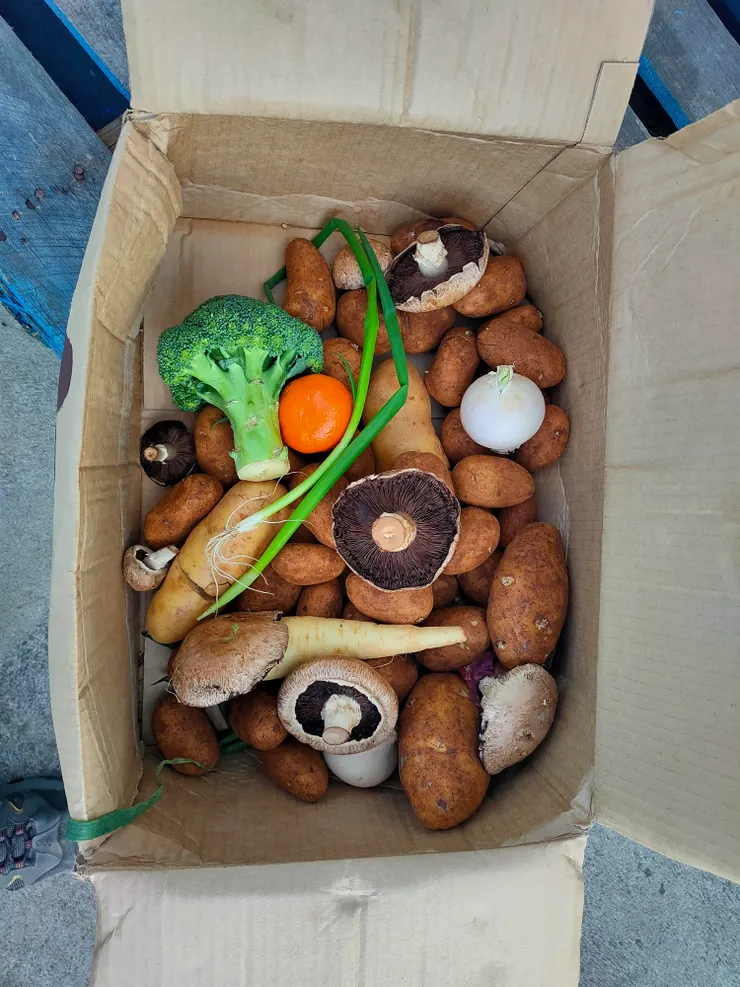 那對芬蘭與澳洲的情侶撿來的食物