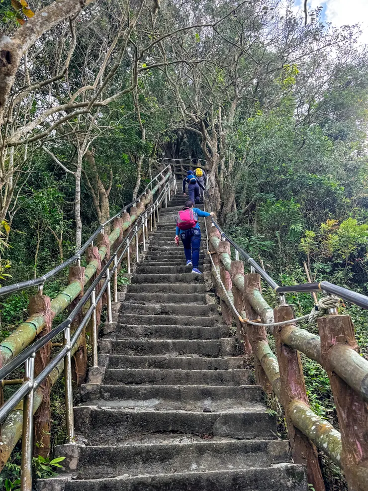 從旗尾山第三登山口上切的遊客正趕往旗尾山中
