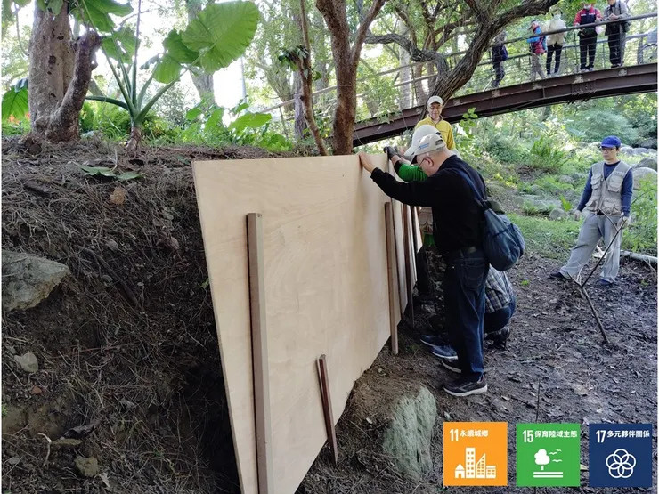 冬組夥伴在原土堤前新設一個直立的板模