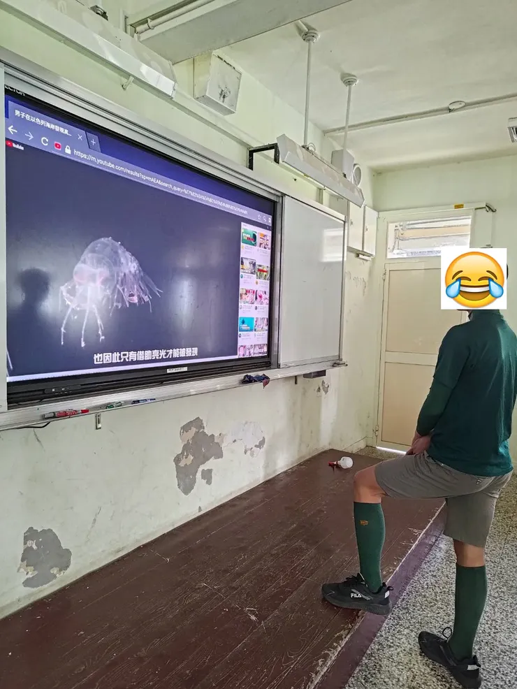 使用大屏學習新知