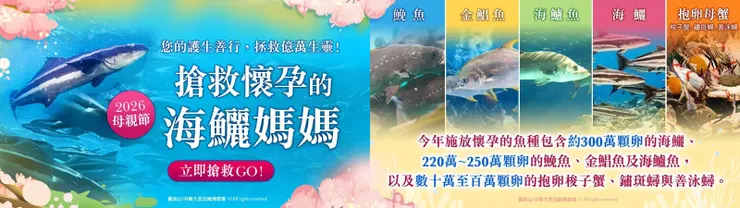 母親節禮物推薦~搶救懷孕的海鱺媽媽