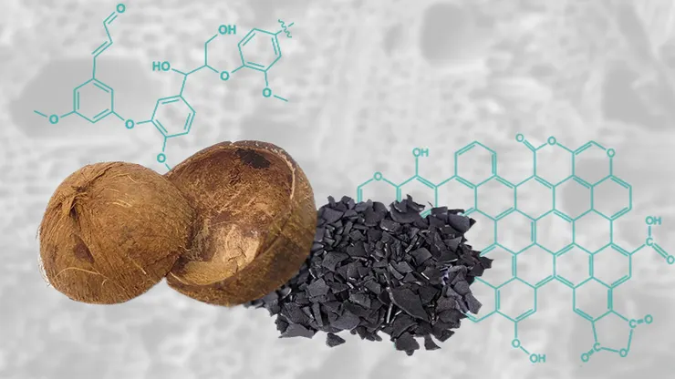 coconut shell charcoal