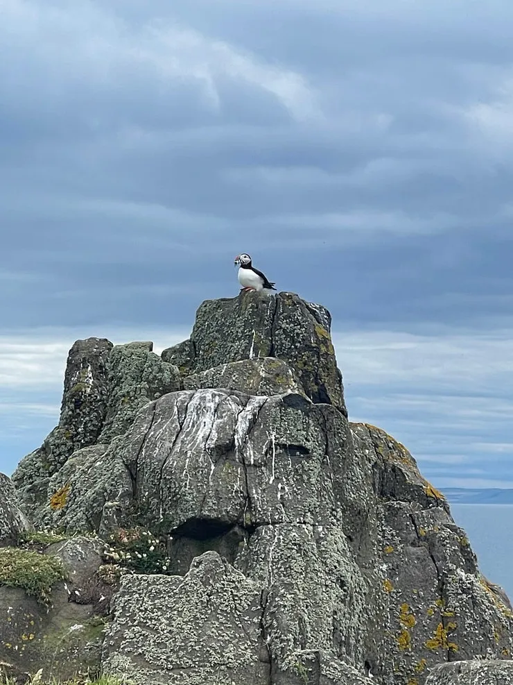 iphone12 拍攝成果