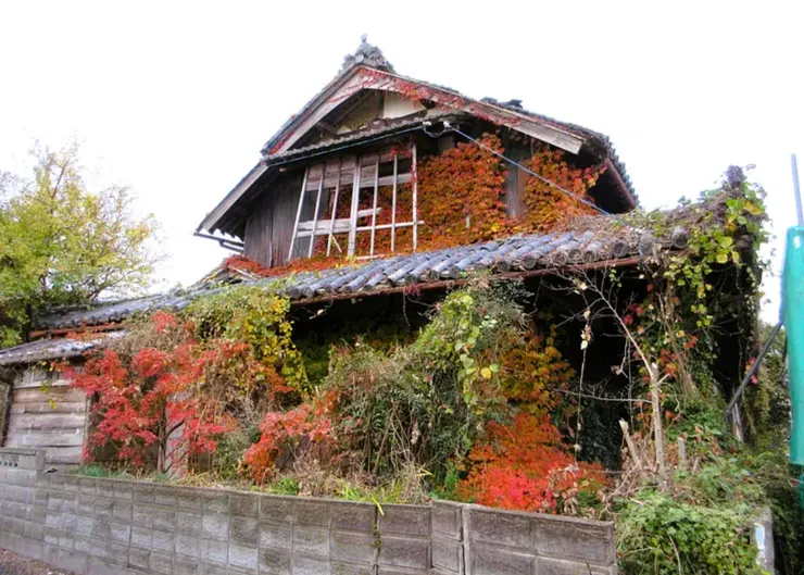 被楓葉包圍的木造房