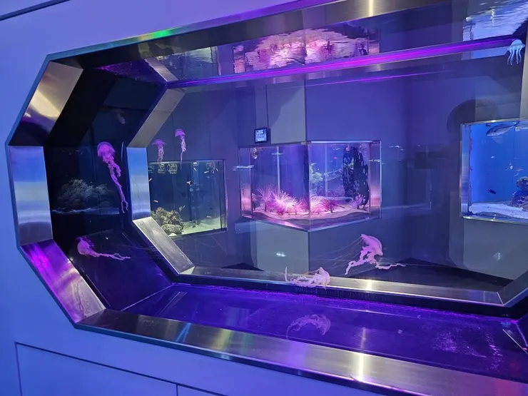 經典的水母區也是不可或缺的