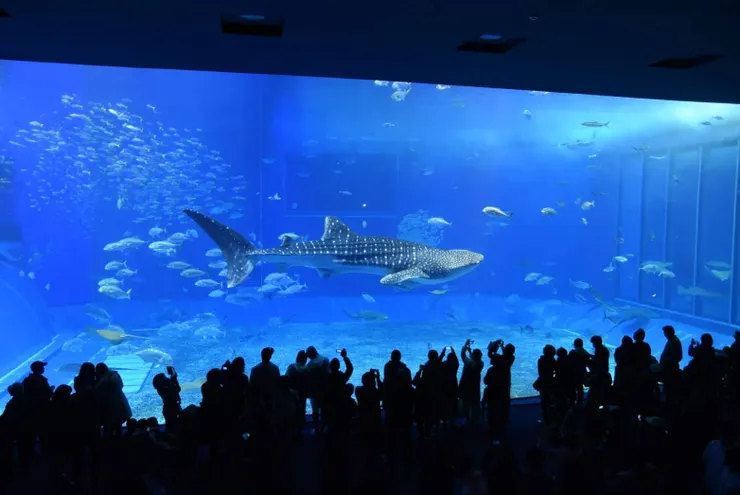 美麗海水族館