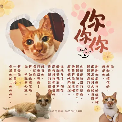 你你你：在貓之日，愛你愛你好愛你