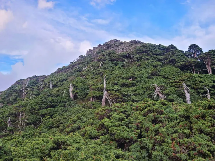 有點不太想鑽,索性離開。加上在南峰山屋躲雨兩小時。當下時間離天黑也快了
