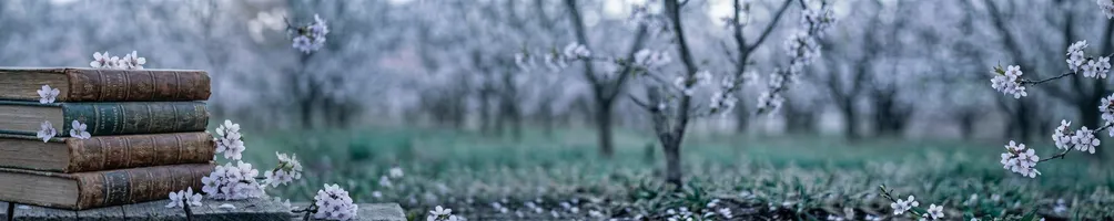 望點敘事 Mirador Narratives