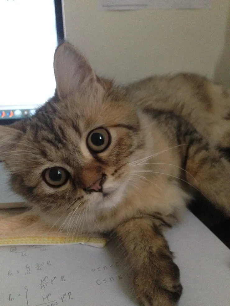 拍攝於 2015/11/18