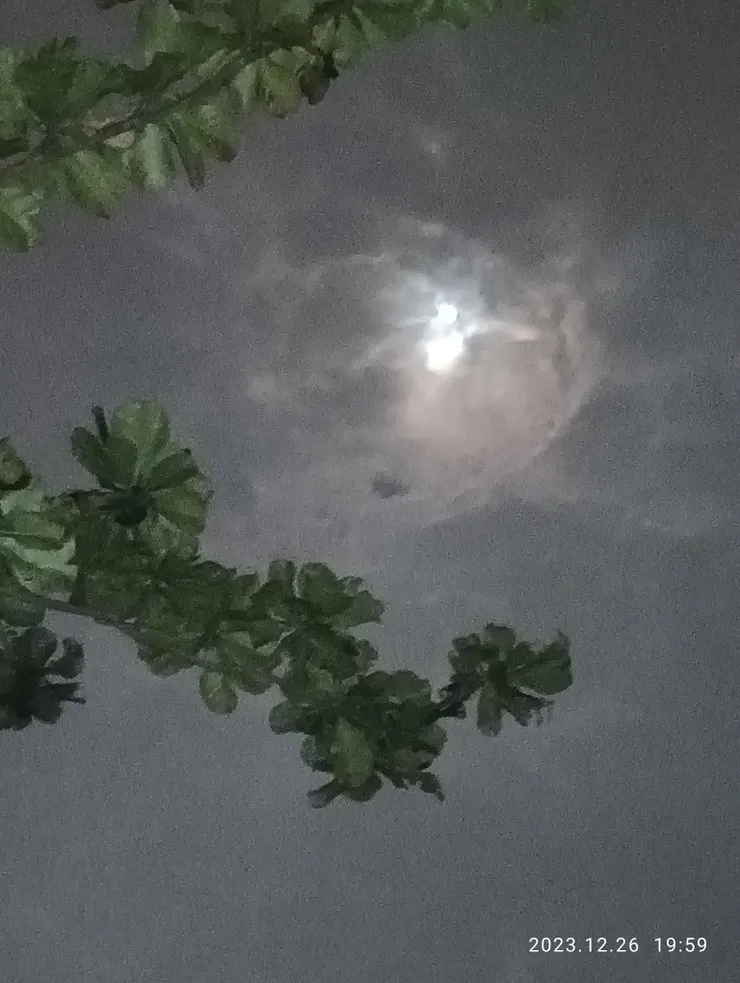 雲破月放溶溶光，自拍攝