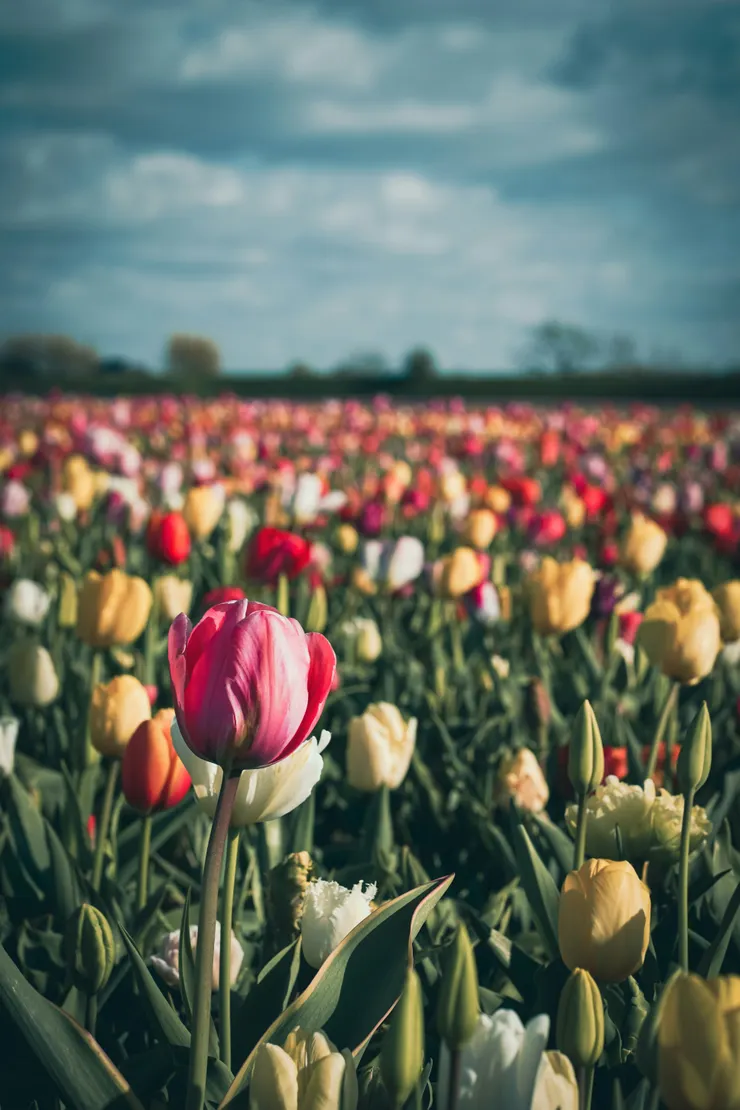 Photo by Illia Panasenko on Unsplash