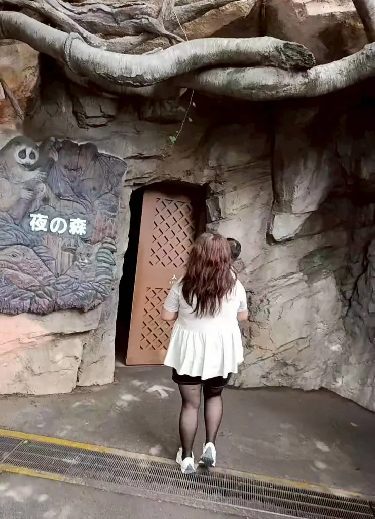 這個內部夜行動物真的太暗了,連我IG都沒拍攝好😅