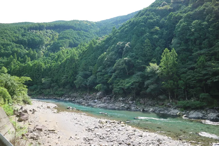 水質是真的好，這補的香魚也好好吃